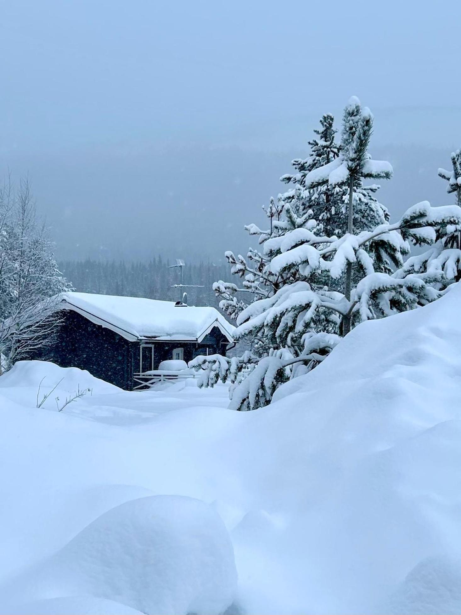 Nymon Mountain Lodge Stöten Buitenkant foto