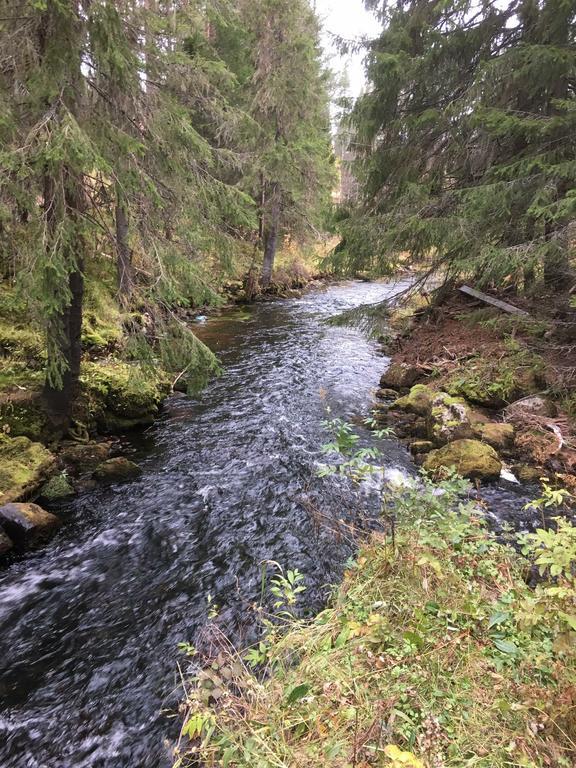 Nymon Mountain Lodge Stöten Buitenkant foto